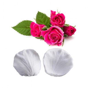 Molde de silicona de nervadura de pétalos de  ROSA  1 par