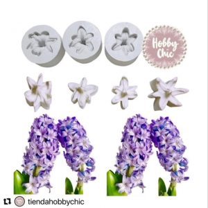 Molde de silicona de nervadura de JACINTO     1par