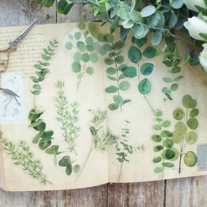 Láminas de PVC para decoupage  RAMAS VERDES .        1pack