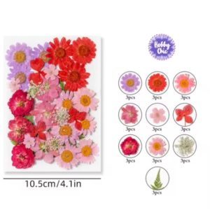 Pack de 30 piezas de FLORES NATURALES SECAS prensadas   #8     1u