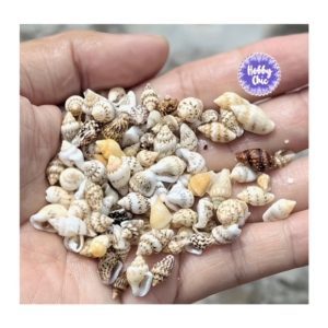 Caracoles muy pequeños para resina     50g