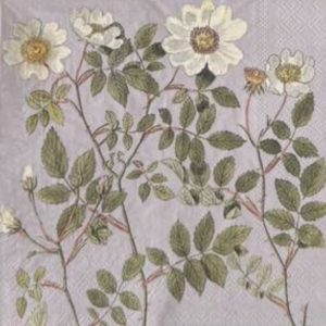Servilleta para decoupage MODELO 91    1u