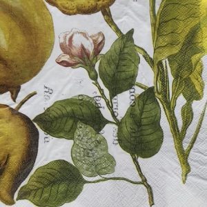 Servilleta para decoupage MODELO 106   1u