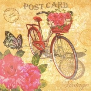 Servilleta para decoupage MODELO 141      1u